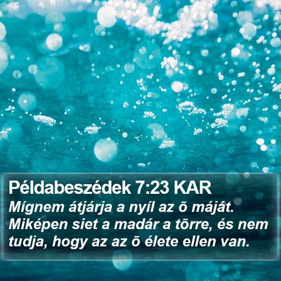 Példabeszédek 7:23 KAR Bible Verse Image