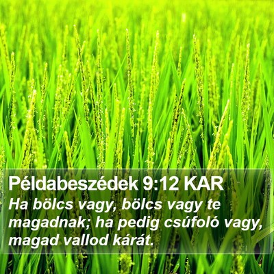 Példabeszédek 9:12 KAR Bible Verse Image