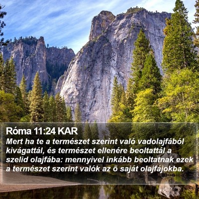 Róma 11:24 KAR Bible Verse Image