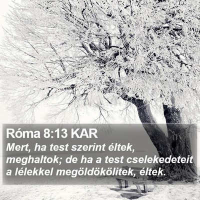 Róma 8:13 KAR Bible Verse Image