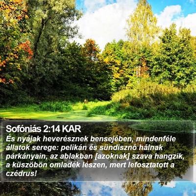 Sofóniás 2:14 KAR Bible Verse Image