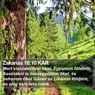 Zakariás 10:10 KAR Bible Verse Image