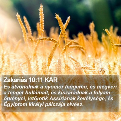 Zakariás 10:11 KAR Bible Verse Image