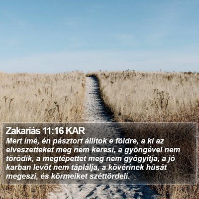 Zakariás 11:16 KAR Bible Verse Image