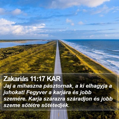 Zakariás 11:17 KAR Bible Verse Image