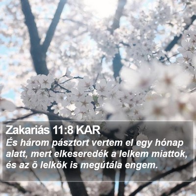 Zakariás 11:8 KAR Bible Verse Image