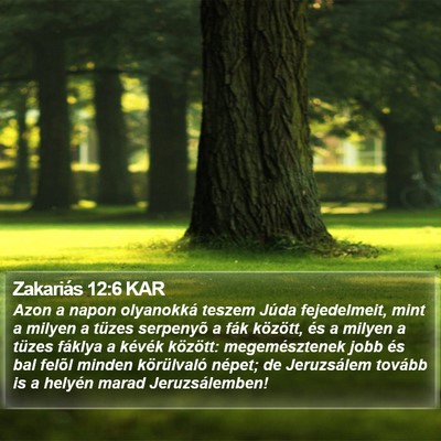 Zakariás 12:6 KAR Bible Verse Image