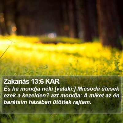 Zakariás 13:6 KAR Bible Verse Image
