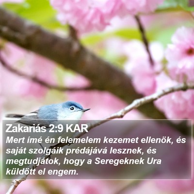 Zakariás 2:9 KAR Bible Verse Image