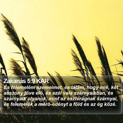 Zakariás 5:9 KAR Bible Verse Image