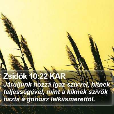 Zsidók 10:22 KAR Bible Verse Image