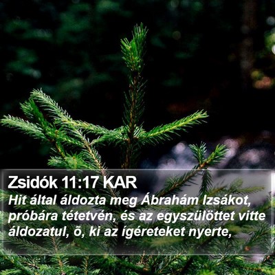 Zsidók 11:17 KAR Bible Verse Image