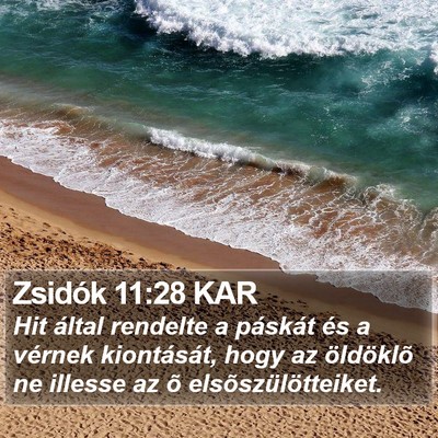 Zsidók 11:28 KAR Bible Verse Image