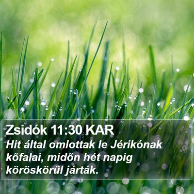 Zsidók 11:30 KAR Bible Verse Image