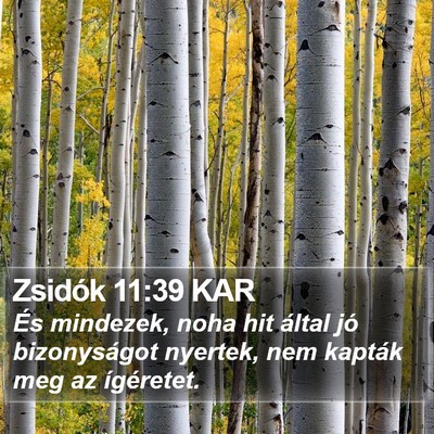 Zsidók 11:39 KAR Bible Verse Image