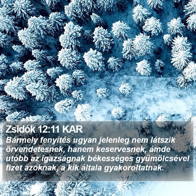 Zsidók 12:11 KAR Bible Verse Image
