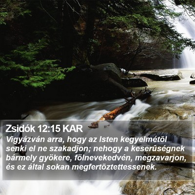 Zsidók 12:15 KAR Bible Verse Image