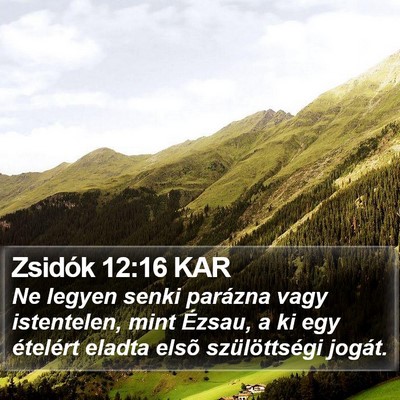 Zsidók 12:16 KAR Bible Verse Image