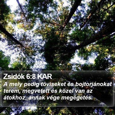 Zsidók 6:8 KAR Bible Verse Image