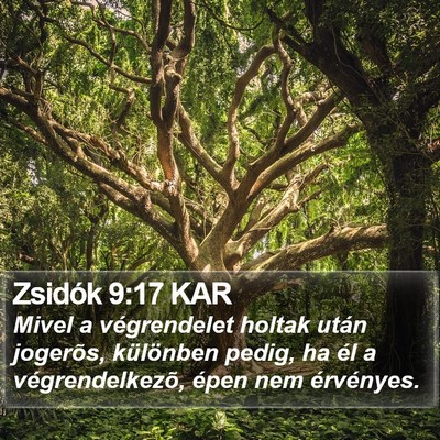 Zsidók 9:17 KAR Bible Verse Image