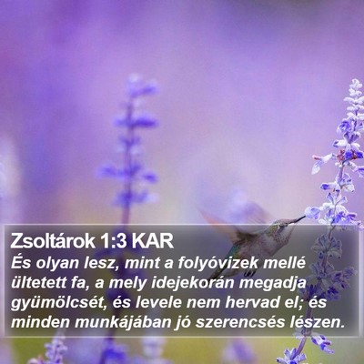 Zsoltárok 1:3 KAR Bible Verse Image