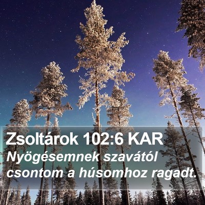 Zsoltárok 102:6 KAR Bible Verse Image