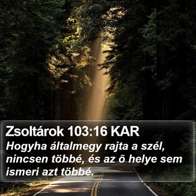 Zsoltárok 103:16 KAR Bible Verse Image