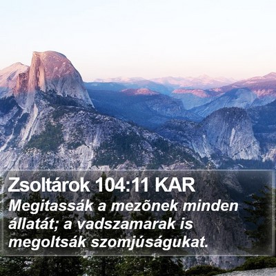 Zsoltárok 104:11 KAR Bible Verse Image
