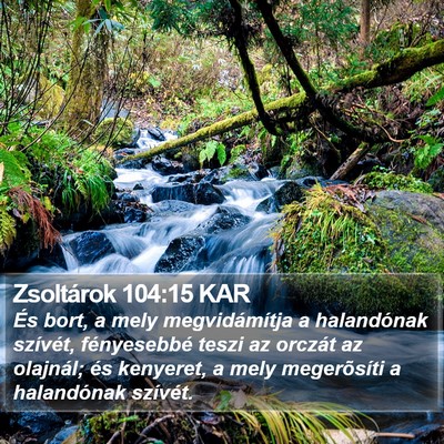 Zsoltárok 104:15 KAR Bible Verse Image