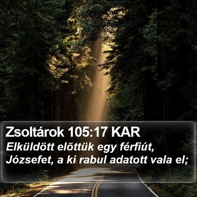 Zsoltárok 105:17 KAR Bible Verse Image