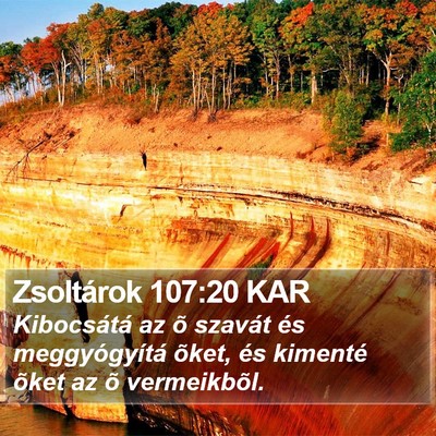 Zsoltárok 107:20 KAR Bible Verse Image