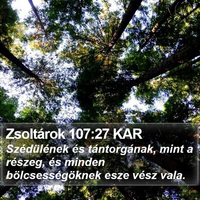 Zsoltárok 107:27 KAR Bible Verse Image