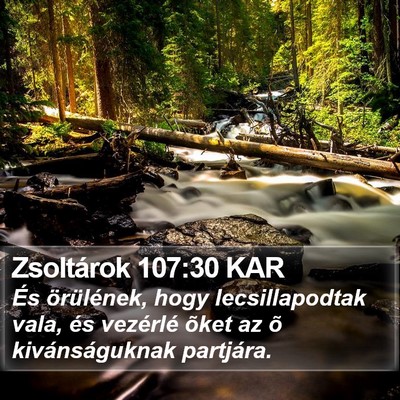 Zsoltárok 107:30 KAR Bible Verse Image