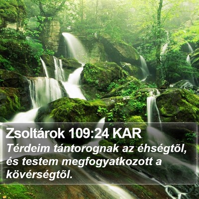 Zsoltárok 109:24 KAR Bible Verse Image