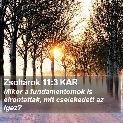Zsoltárok 11:3 KAR Bible Verse Image