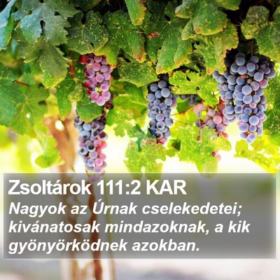 Zsoltárok 111:2 KAR Bible Verse Image