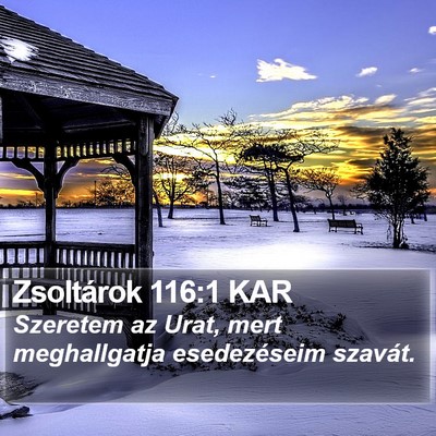 Zsoltárok 116:1 KAR Bible Verse Image