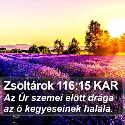 Zsoltárok 116:15 KAR Bible Verse Image