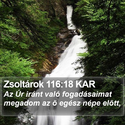 Zsoltárok 116:18 KAR Bible Verse Image