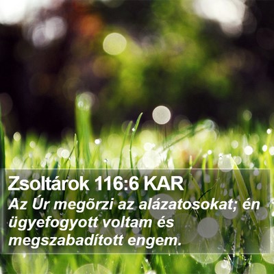 Zsoltárok 116:6 KAR Bible Verse Image