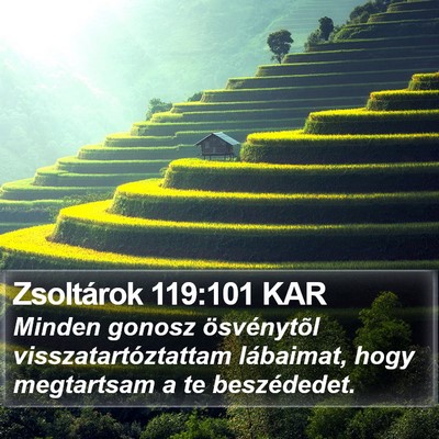 Zsoltárok 119:101 KAR Bible Verse Image