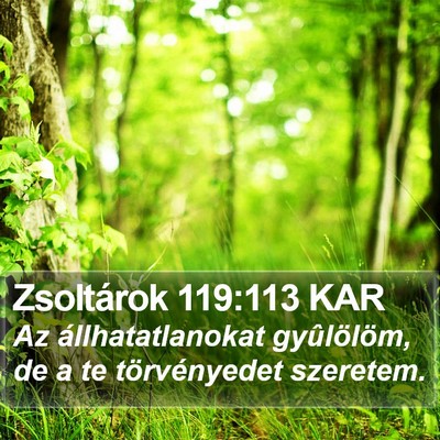 Zsoltárok 119:113 KAR Bible Verse Image