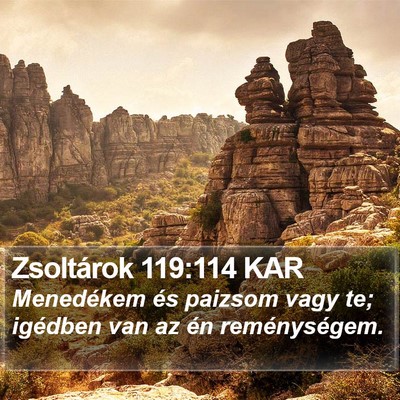 Zsoltárok 119:114 KAR Bible Verse Image