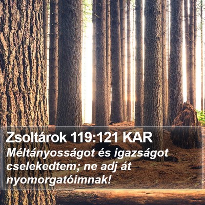 Zsoltárok 119:121 KAR Bible Verse Image