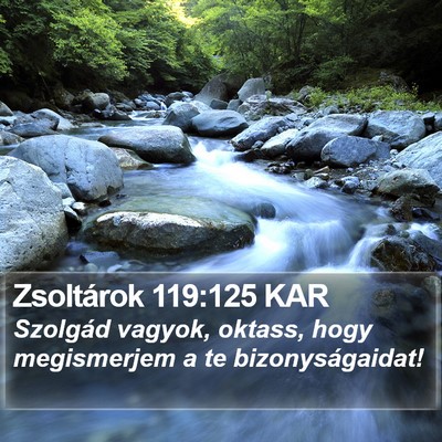 Zsoltárok 119:125 KAR Bible Verse Image