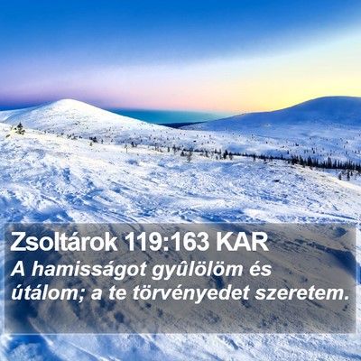 Zsoltárok 119:163 KAR Bible Verse Image