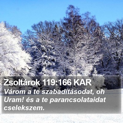 Zsoltárok 119:166 KAR Bible Verse Image