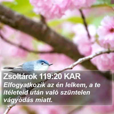 Zsoltárok 119:20 KAR Bible Verse Image