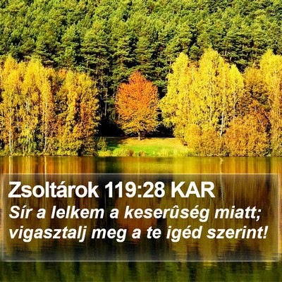 Zsoltárok 119:28 KAR Bible Verse Image