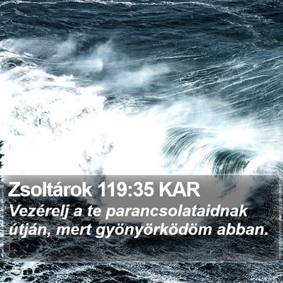 Zsoltárok 119:35 KAR Bible Verse Image